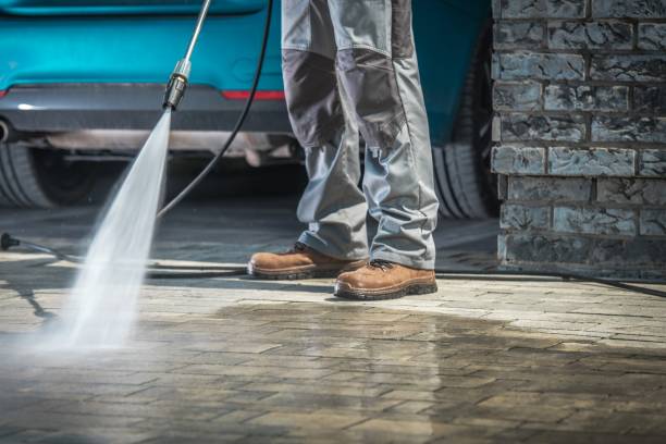 Best Pre-Holiday Cleaning  in Lake Holiday, IN